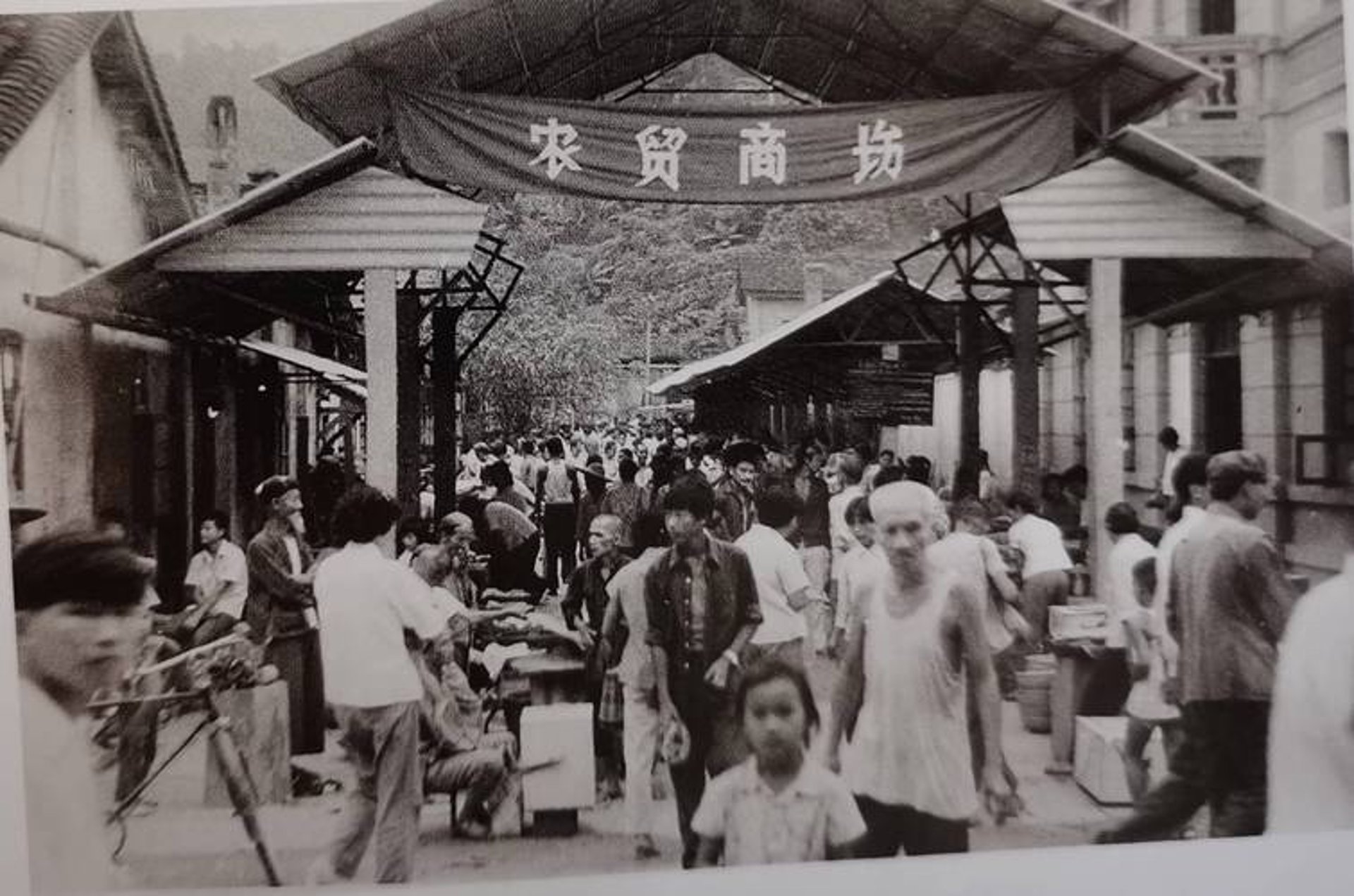 莱茂商贸